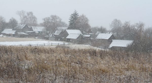 Деревня Смелиж из брянской Суземки покорила питерскую поэтессу