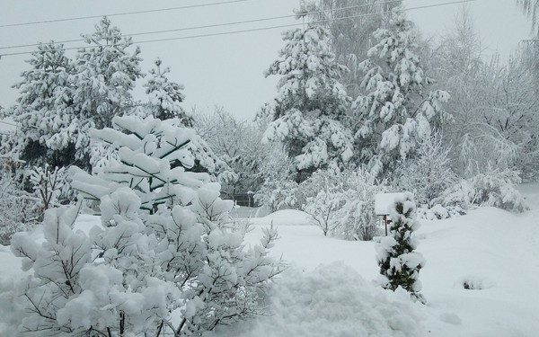 Брянщина вновь погрузилась в зимнюю сказку