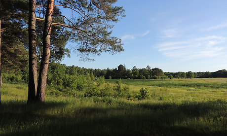 В Брянске состоится совещание Федерального агентства лесного хозяйства