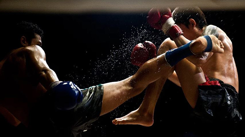 Брянская команда  завоевала 12 медалей на Первенстве ЦФО по кикбоксингу