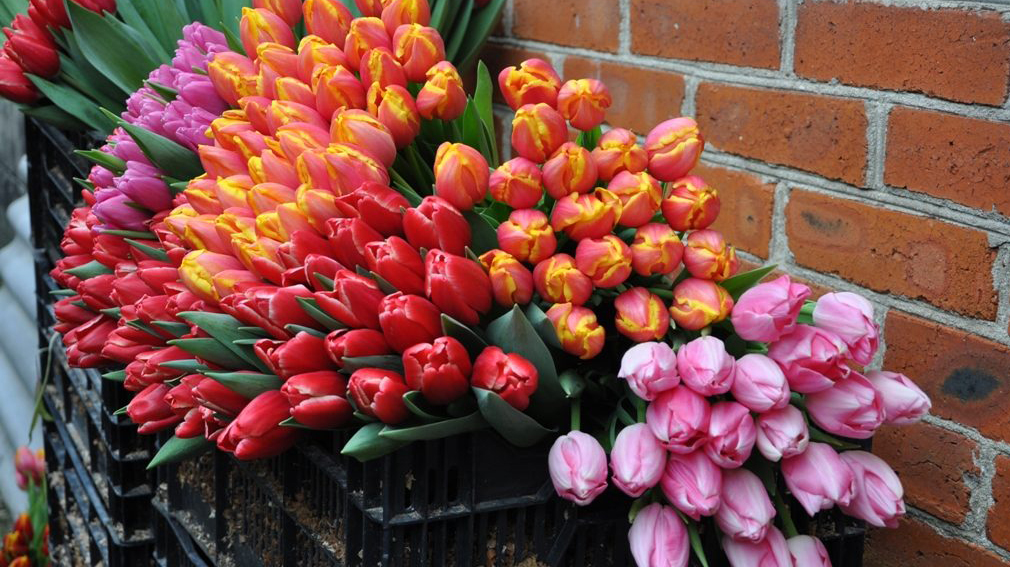 Брянск готовится в празднику 8 марта