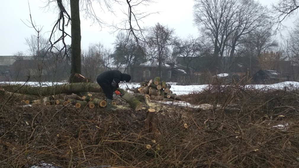  Брянцам  напомнили про акцию « Всем миром»