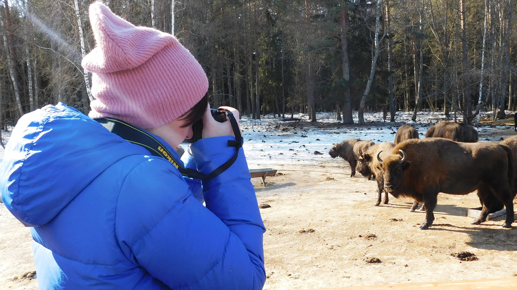 Брянские леса – России краса