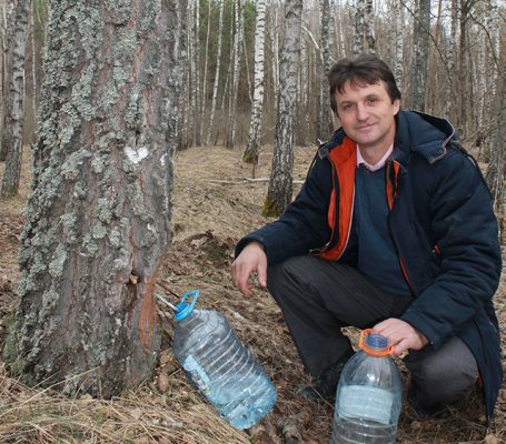 В Погарском районе Брянщины собирают березовый сок