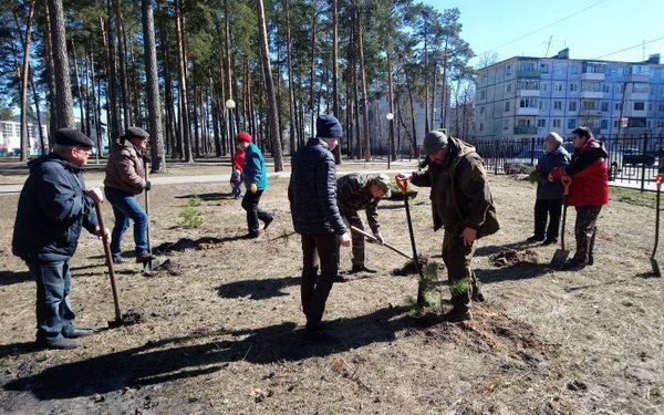 В Брянской области  пройдет экологическая акция «День древонасаждения»