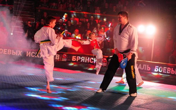 В Брянском цирке прошёл XII Всероссийский фестиваль боевых искусств