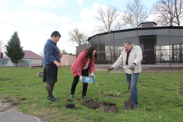 «Зеленая весна» в Карачеве