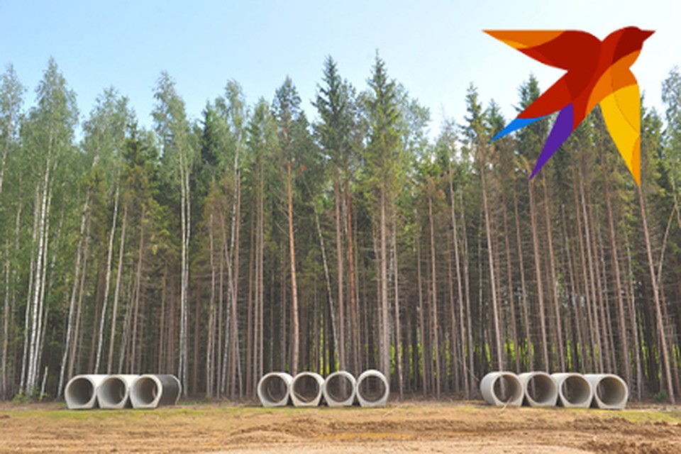 На Брянщине стартовала всероссийская акция «Сохраним лес»