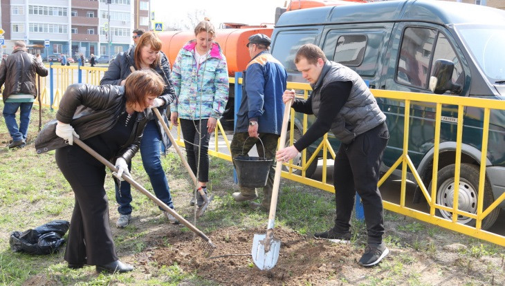 На улице Романа Брянского  посадили 40 рябин
