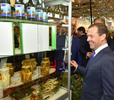 На выставке в Китае поделятся российским опытом организации плантаций китайского женьшеня в Брянске