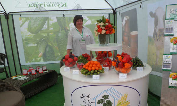 О себе расскажут Новозыбков и Новозыбковский район Брянщины