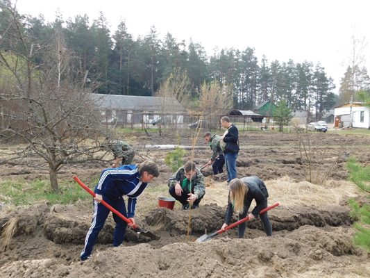 Жуковский дендросад в Брянской области