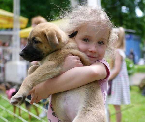 В Брянске прошел благотворительный фестиваль «Happy cat» в поддержку бездомных животных
