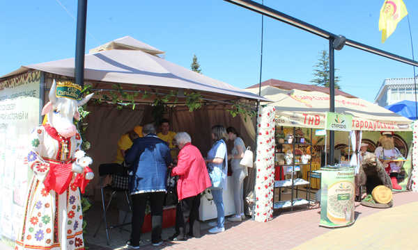 В Брянске продолжается фестиваль «Дни городов и районов»