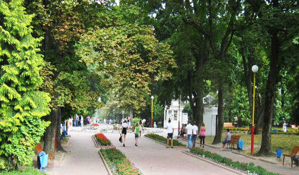 В Брянске состоится книжный флешмоб