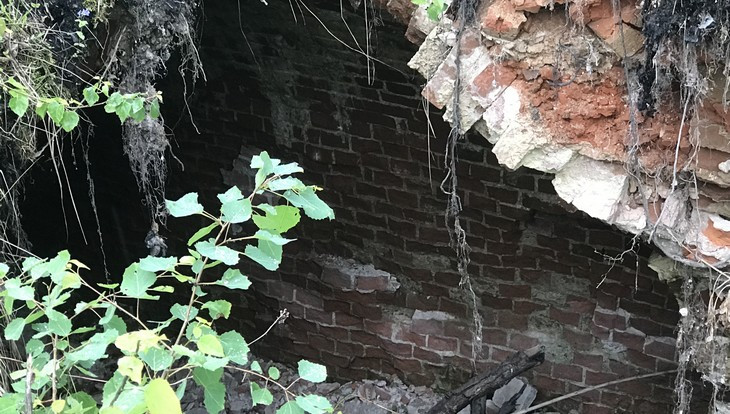 В брасовском поселке Локоть Брянской области нашли подземный «замок» Романовых