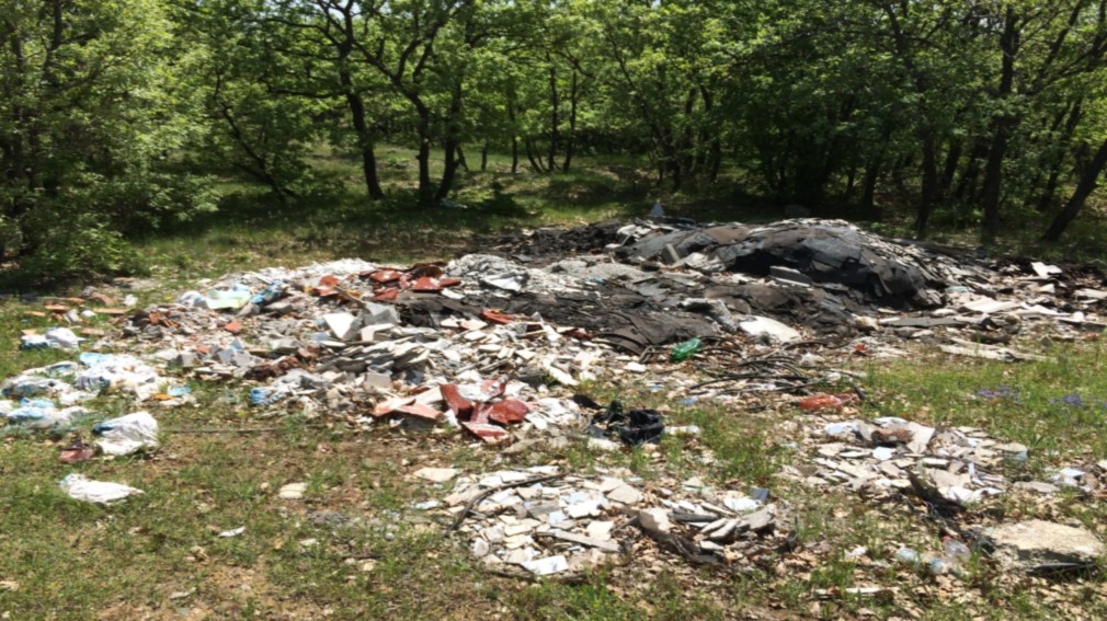 Несанкционированные свалки на Брянщине будут ликвидированы