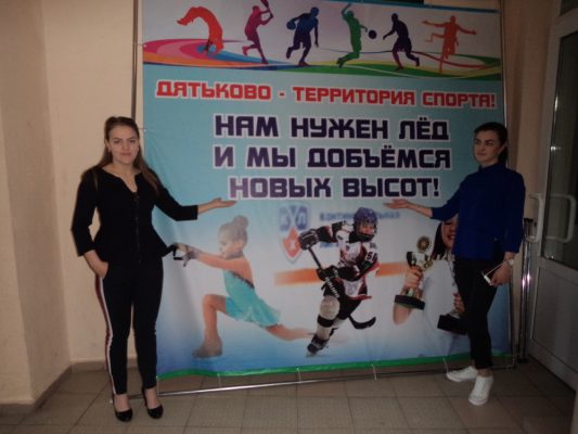 О необходимости строительства ледовых дворцов опрашивают жителей Брянщины