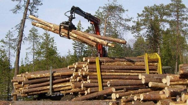 О заготовке леса для собственных нужд