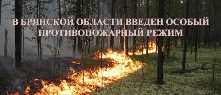 Во время майских каникул карачевцам следует воздержаться от пикников на природе