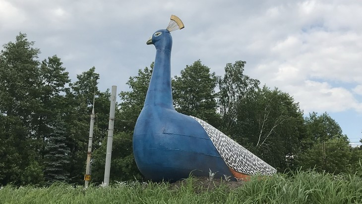 На въезде в Брянск со стороны Орла установили огромную жар-птицу