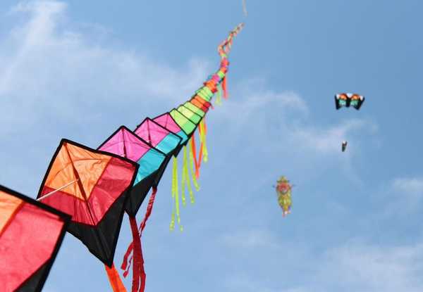 В Брянске запустят воздушных змеев в знак перехода на «цифру»