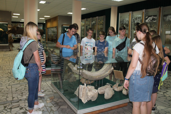 Серию экскурсий по краеведческим музеям организовали брянские активисты ОНФ