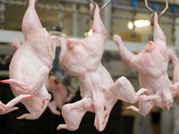 В 2020 году возможны поставки брянской курятины в Японию