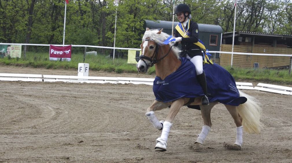 Успешное выступление брянских наездниц прошло в Орле