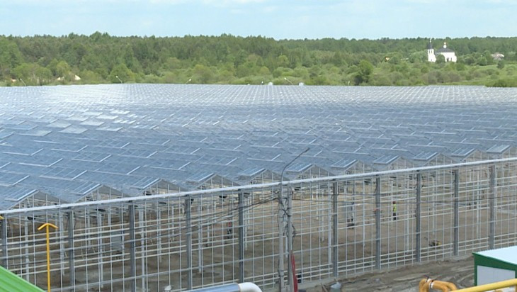 В селе Журиничи Брянского района завершается строительство тепличного комбината