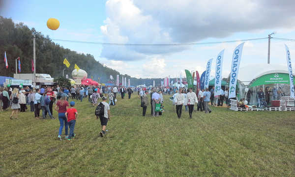 В работе аграрной выставки-форума «День Брянского поля» принимают участие более 250 компаний