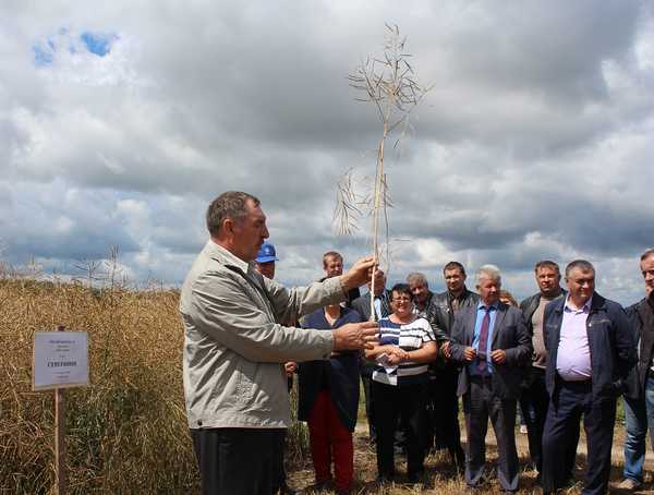 Делегация Брянщины принимает участие во Всероссийском Дне поля в Ленинградской области