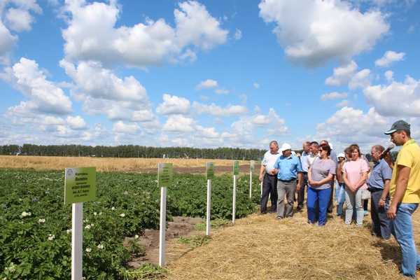 Полевой семинар прошел для брянских аграриев