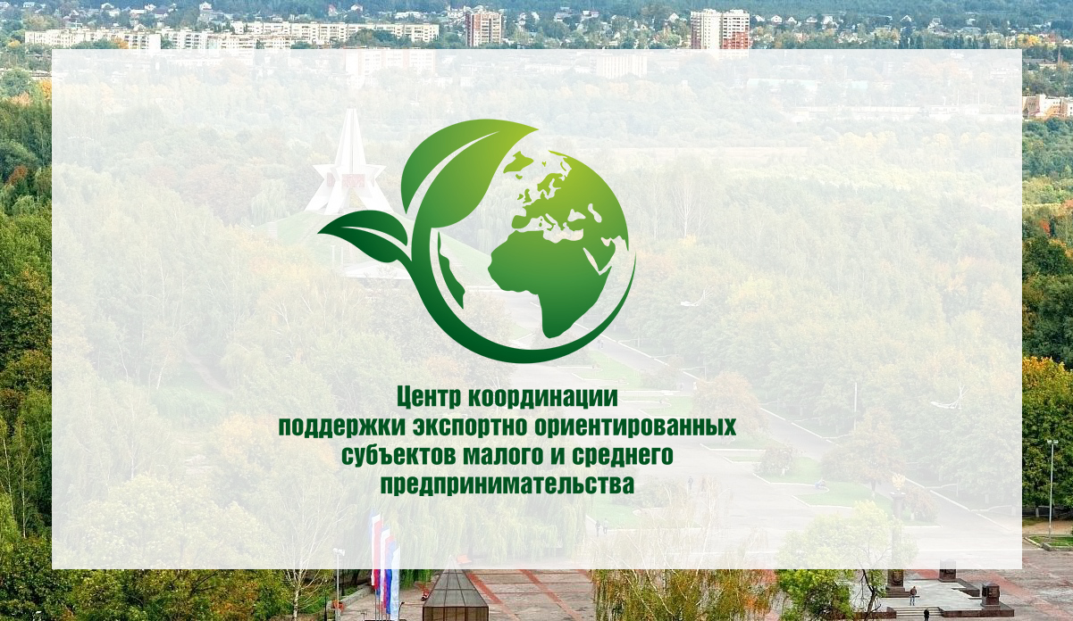 Для брянских бизнесменов проведут бесплатный бизнес-тренинг