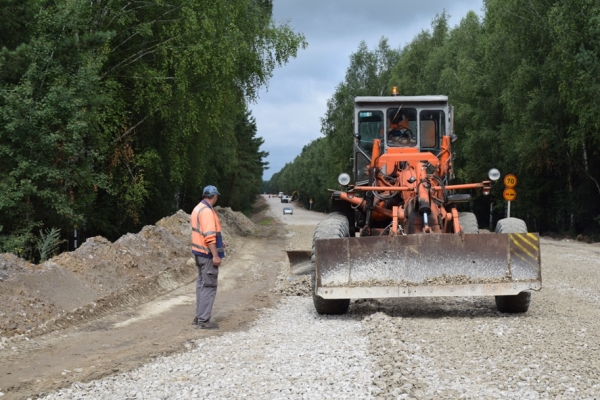 В Выгоничском районе Брянщины продолжается реконструкция дорог