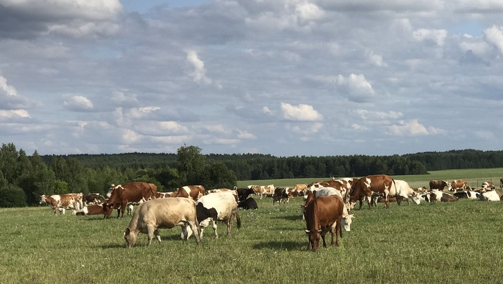 Единственный в России геномный центр появится на Брянщине