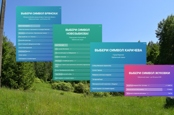 Выбрать символы Брянска, Карачева, Жуковки и Новозыбкова предлагают активисты ОНФ