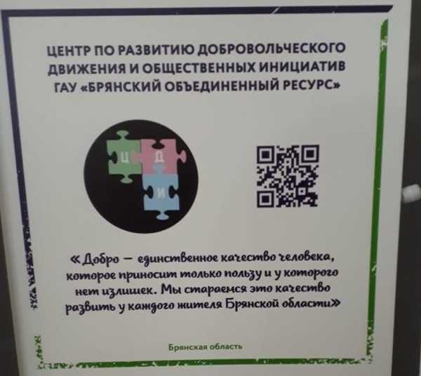 Брянский Центр по развитию добровольчества — лидер программы «Ресурсные центры»