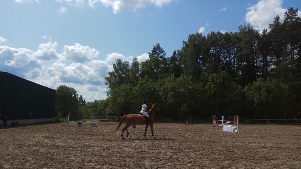 В брянском Фокино соревновались конкуристы