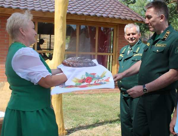 В Брянске учреждено почетное звание «Заслуженный работник лесного хозяйства»