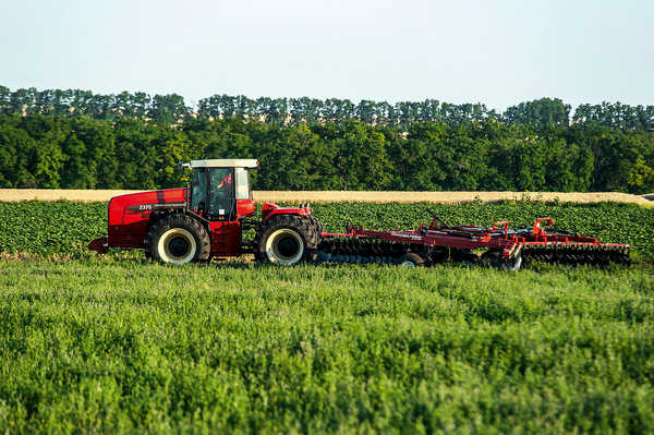 13 июля в Кокино пройдет Масштабная агропромышленная выставка-форум «День Брянского поля 2019»