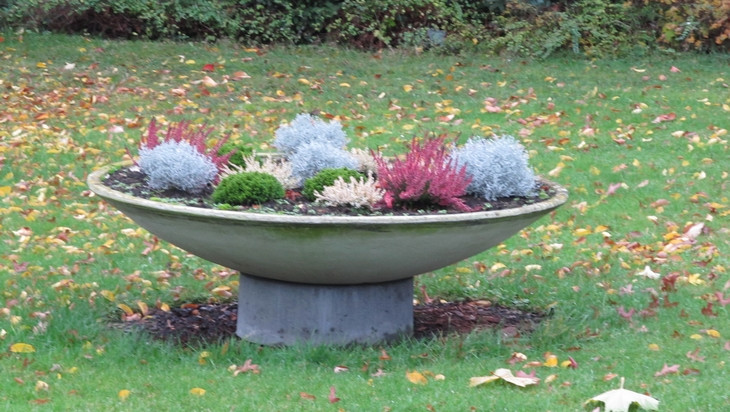 Жители климовского села Брянщины  активно участвуют в инициативном бюджетировании