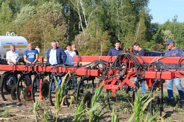 Стародубские аграрии поделились опытом возделывания кукурузы