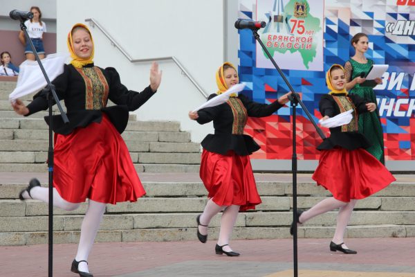 Экспозиция Севского района на фестивале «Дни городов и районов Брянской области»