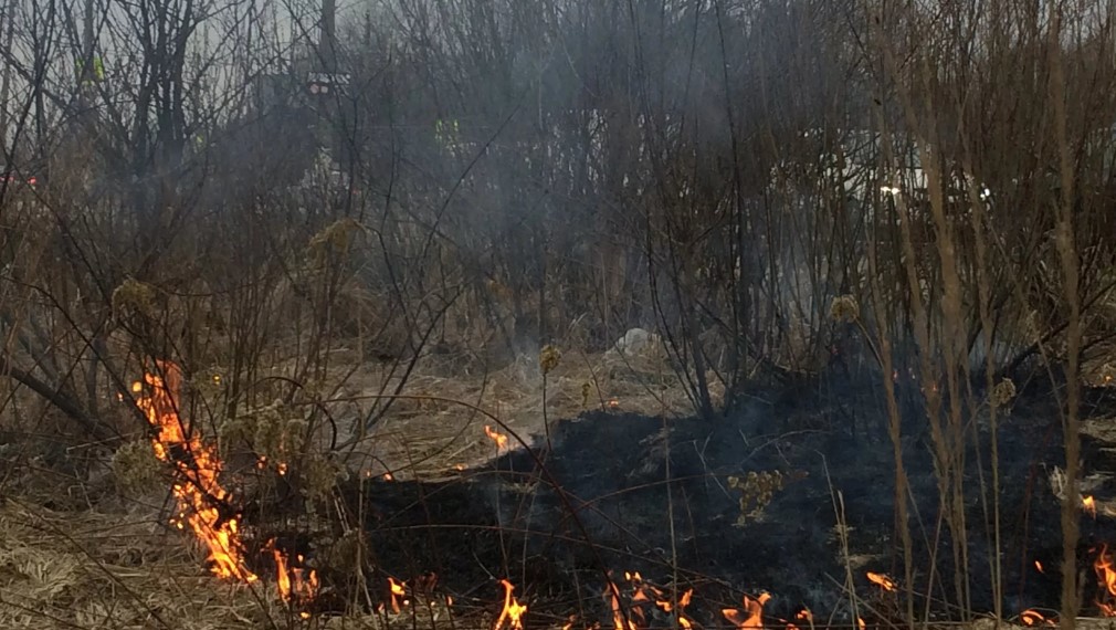 Брянские спасатели контролируют пожароопасную обстановку в регионе