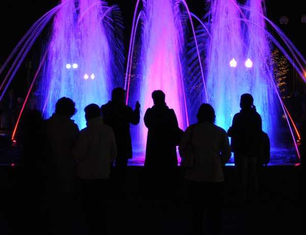 В Бежицком районе Брянска отремонтируют Майский парк