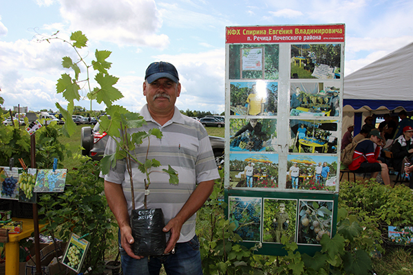 Более 30 сортов винограда показал на Дне Брянского поля фермер из Почепа
