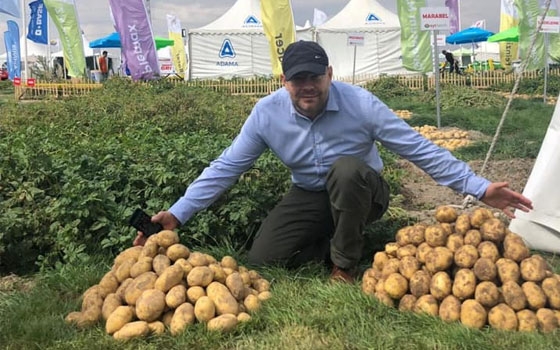 В 2020 году в Брянске впервые пройдет картофельный фестиваль