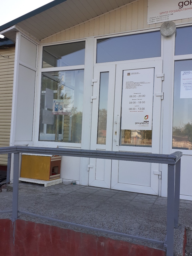 Работники карачевского МФЦ спасли брошенного котенка