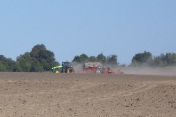 В  Брасовском районе активно ведется уборка зерновых и сев озимого рапса